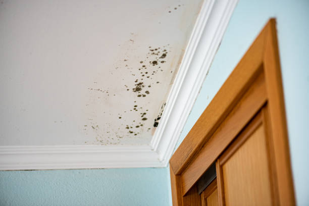 Best Water Damage Restoration  in Glenpool, OK