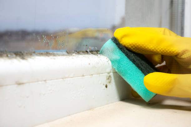 Best Residential Mold Removal  in Glenpool, OK
