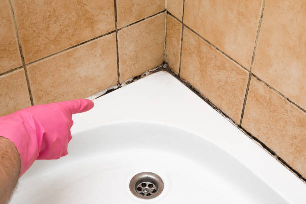 Best Home Mold Removal  in Glenpool, OK